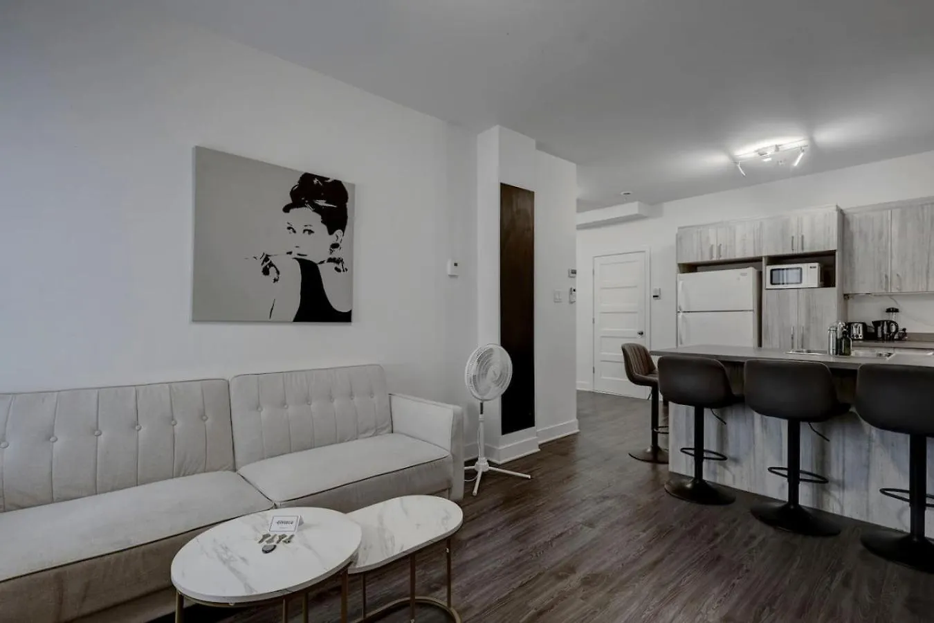 Wonderful 4 Bedroom Home In The Heart Of Downtown Montréal