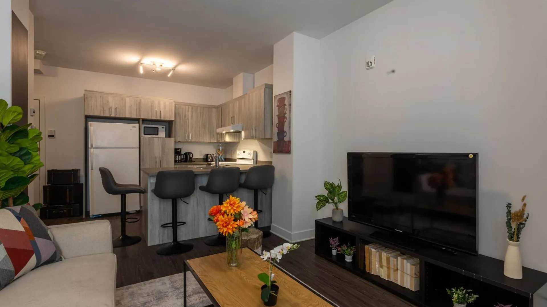 Wonderful 4 Bedroom Home In The Heart Of Downtown Montréal