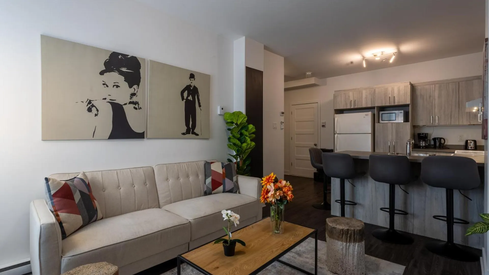 Wonderful 4 Bedroom Home In The Heart Of Downtown Montréal 0*,
