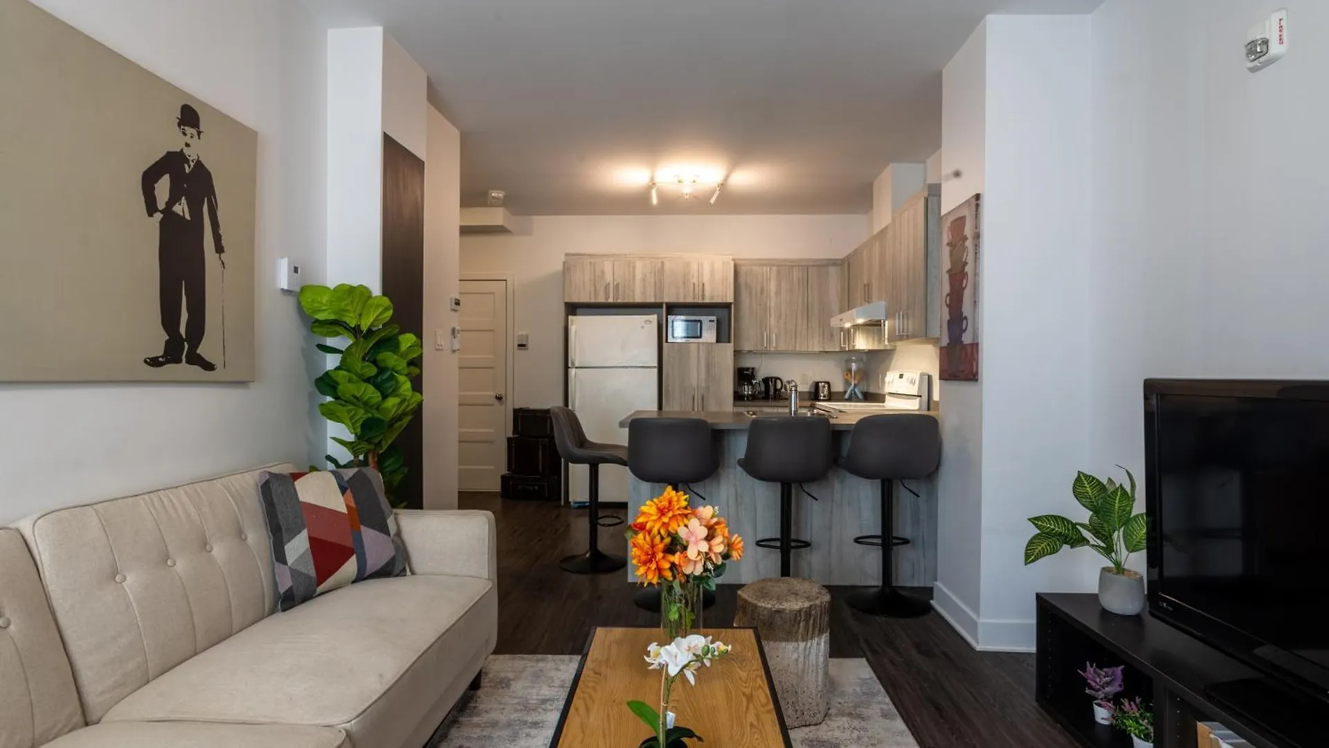 Wonderful 4 Bedroom Home In The Heart Of Downtown Montreal