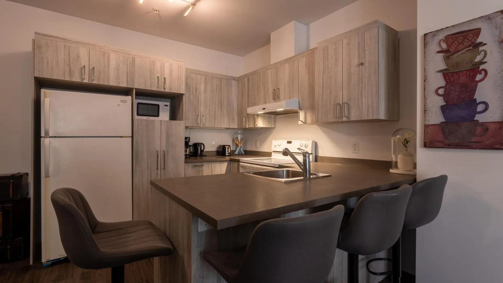 Wonderful 4 Bedroom Home In The Heart Of Downtown Montreal Apartment